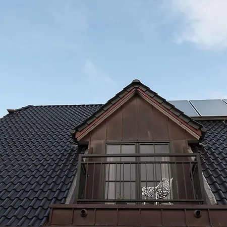 Loerkiwai 10 Nordic *